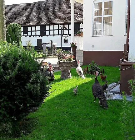 Gospodarstwo wiejskie Madera Mansion Wilczkowo *